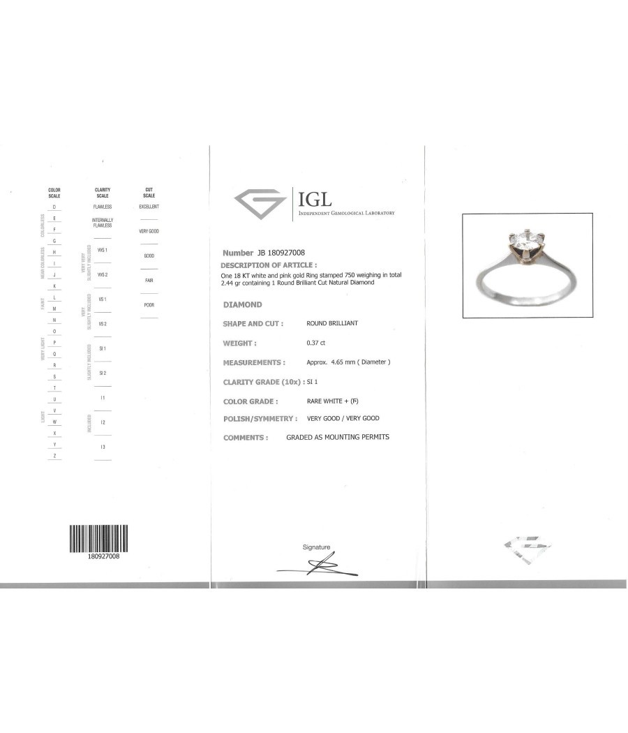 Wedding ring in K18 white gold with a natural diamond 