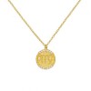 Silver necklace 925 with the zodiacsign Virgo in embossed pendant with natural zircons Z-VIRGO
