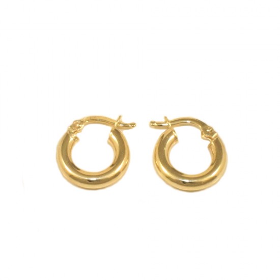 Earrings in K14 gold hoops 1057
