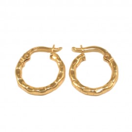 Earrings in K14 gold hoops 10166